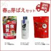 春の芽ばえセット 3点セット ［送料込] ベニカXガード粒剤 バイオゴールド バイタル セレクション薔薇 園芸資材