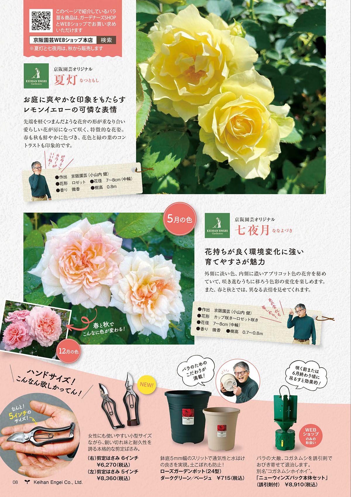 夏灯なつともしを説明した画像