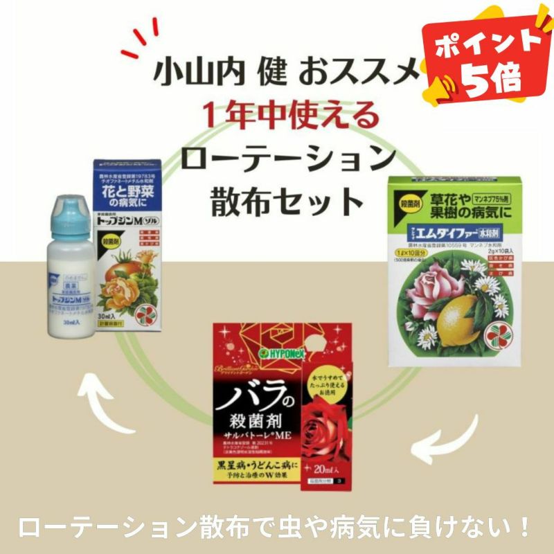 1年中使える ローテーション 散布セット