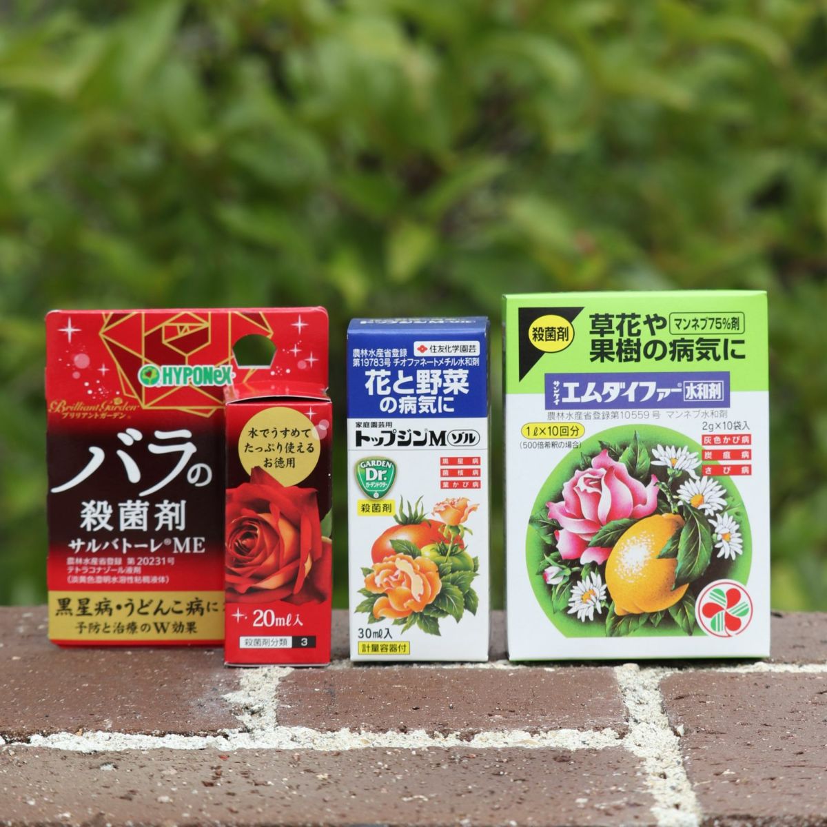 1年中使える ローテーション 散布セット 3点セット エムダイファー水和剤 サルバトーレME20ml トップジンMゾル 園芸資材 宅急便コンパクトでお届け