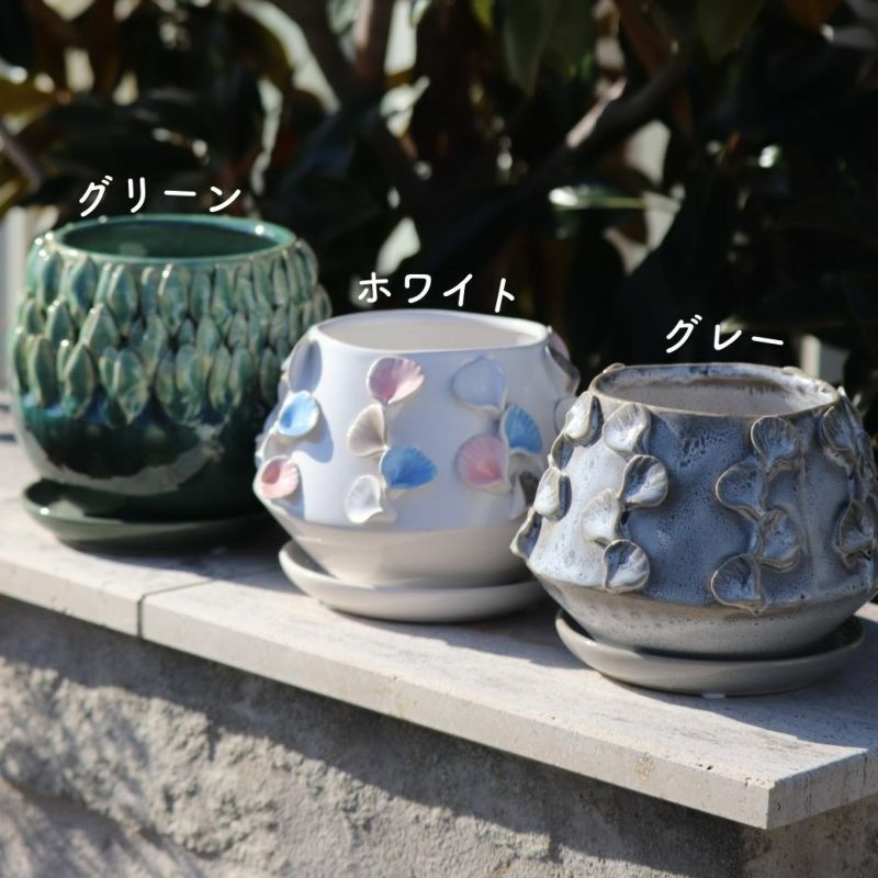 現品限り！ユニークな陶器鉢皿付き｜バラと庭あそび京阪園芸公式