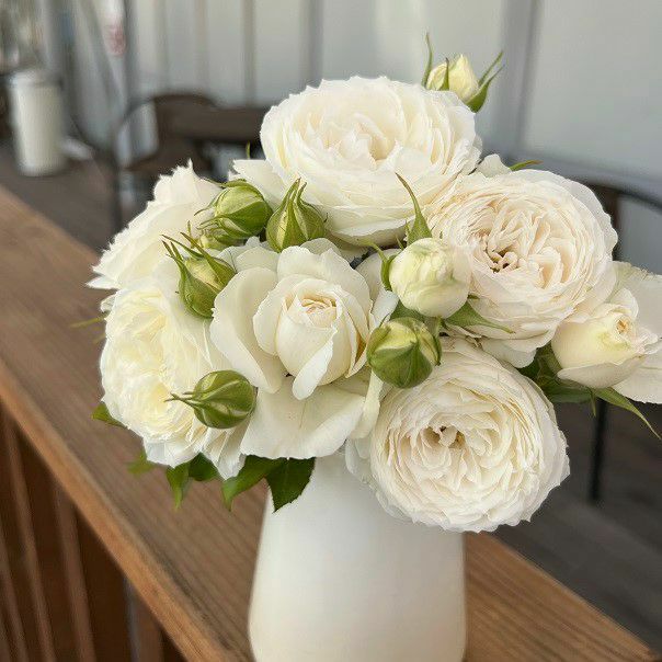 スノートワというバラを花瓶にいけた画像
