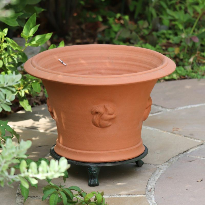 リスがあしらわれたウィッチフォードの植木鉢の写真