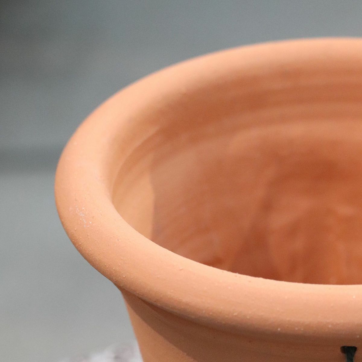 ウィッチフォードの植木鉢の写真