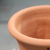 ウィッチフォードの植木鉢の写真