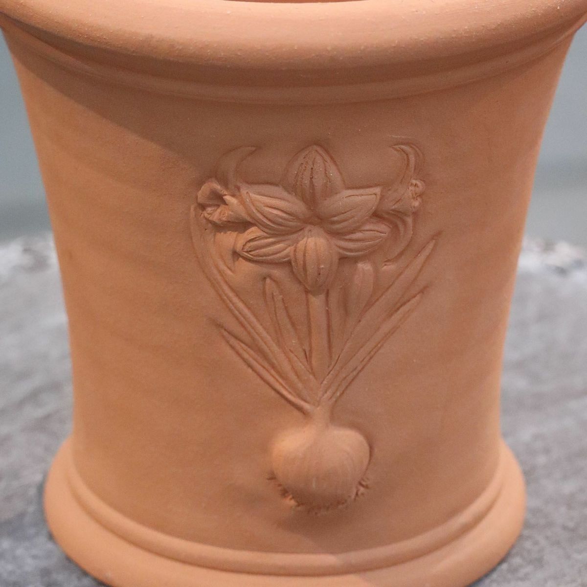 アマリリスが施されたウィッチフォードの植木鉢の写真