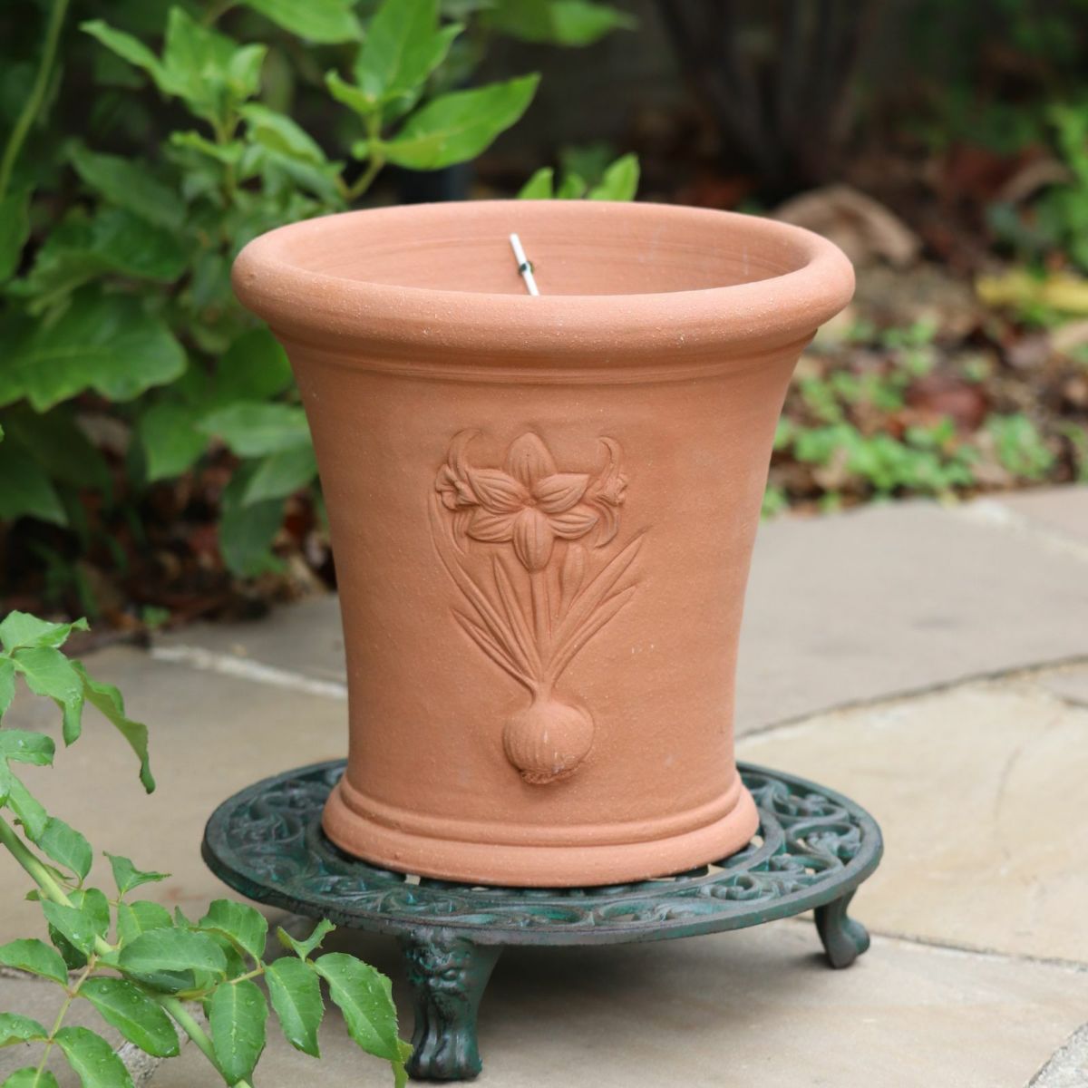 アマリリスが施されたウィッチフォードの植木鉢の写真