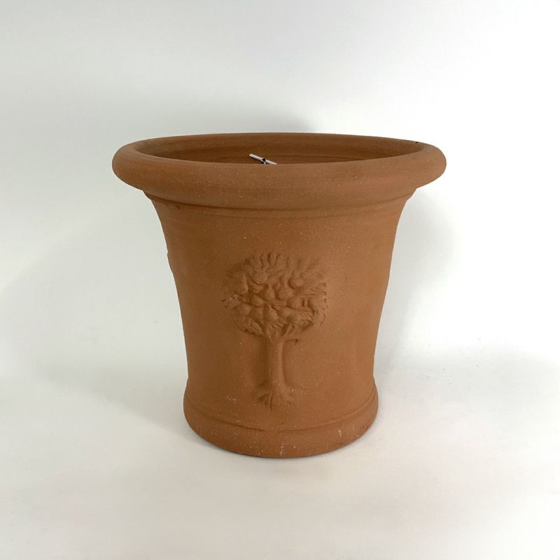 ウィッチフォード RHS18 Wisley Apple Tree Pot テラコッタ鉢 