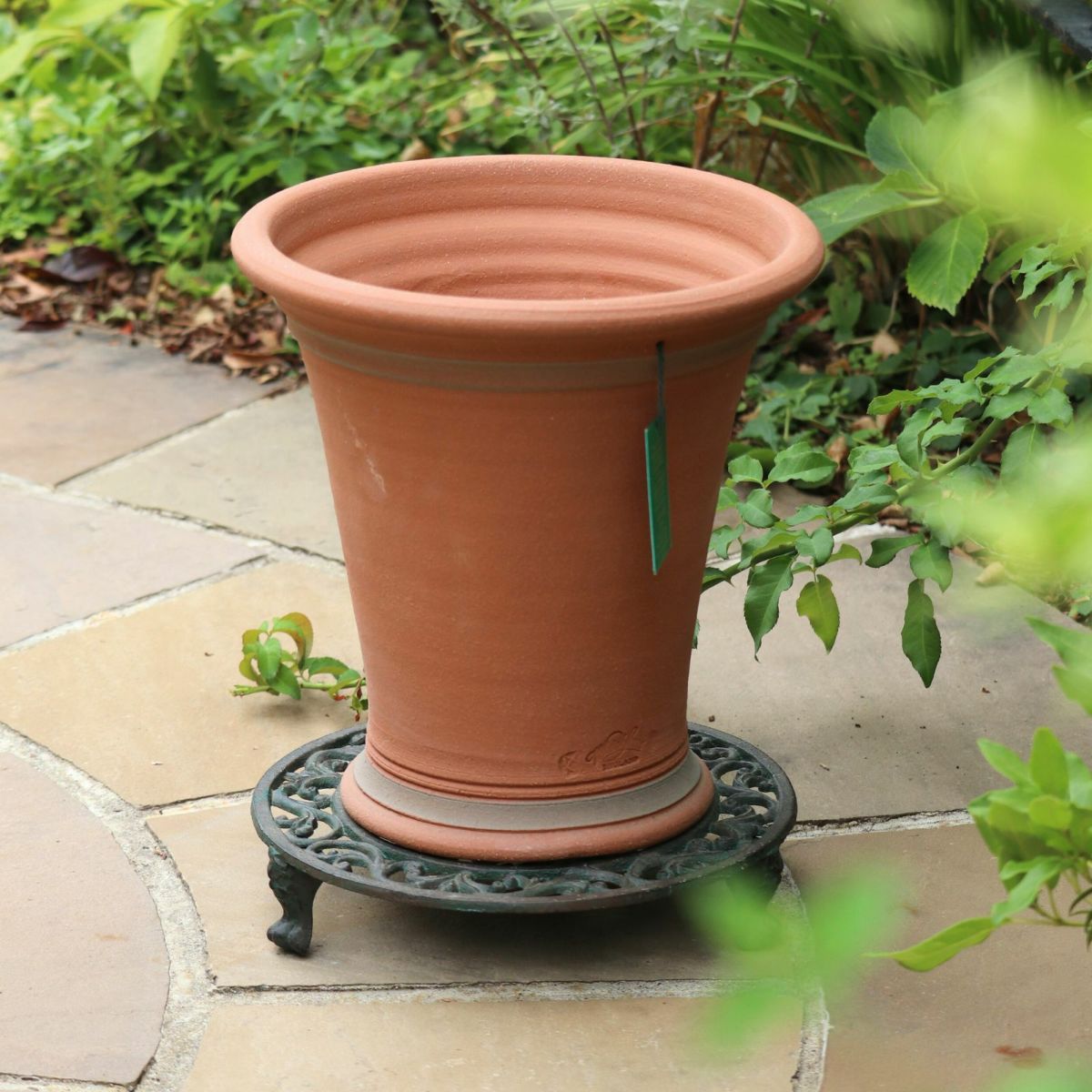 ウィッチフォードの植木鉢の写真