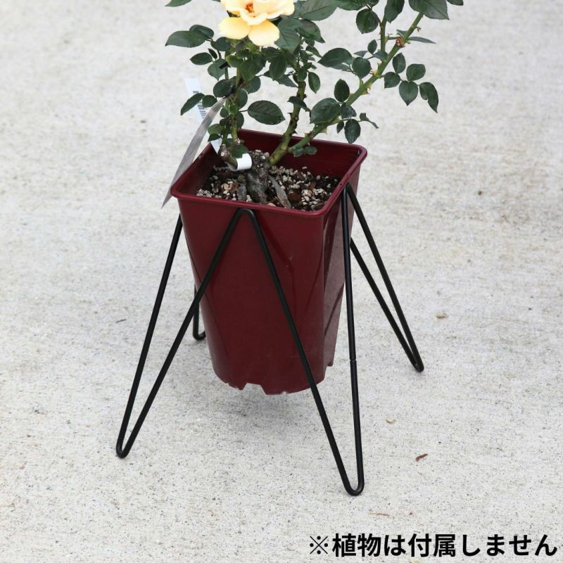 鉢スタンド ベルツモア ジャパン製 8号植木鉢用スタンド SNYMSS-8 ガーデニング 園芸資材