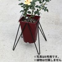 ローズスタンドスクエア　8号深鉢用　6個セット ローズスタンドスクエア 8号深鉢用 6個セット 家庭園芸（菜園