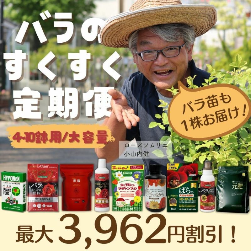 バラのすくすく定期便 [ 大容量セット ]