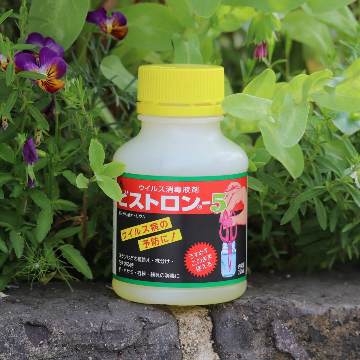 漬けるだけで消毒できるビストロンという消毒液の写真