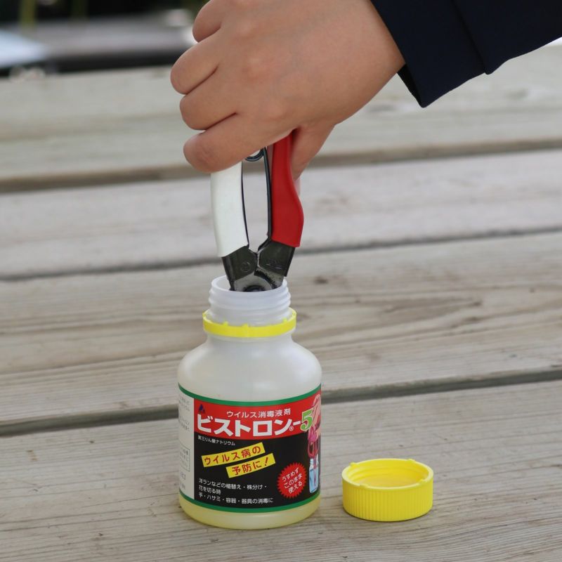 ビストロン-5 220ml