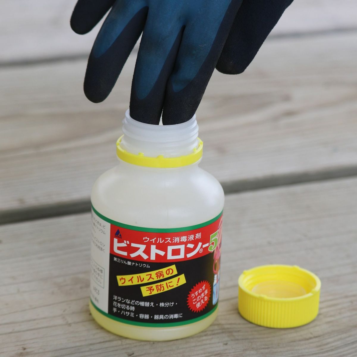 漬けるだけで消毒できるビストロンという消毒液の写真