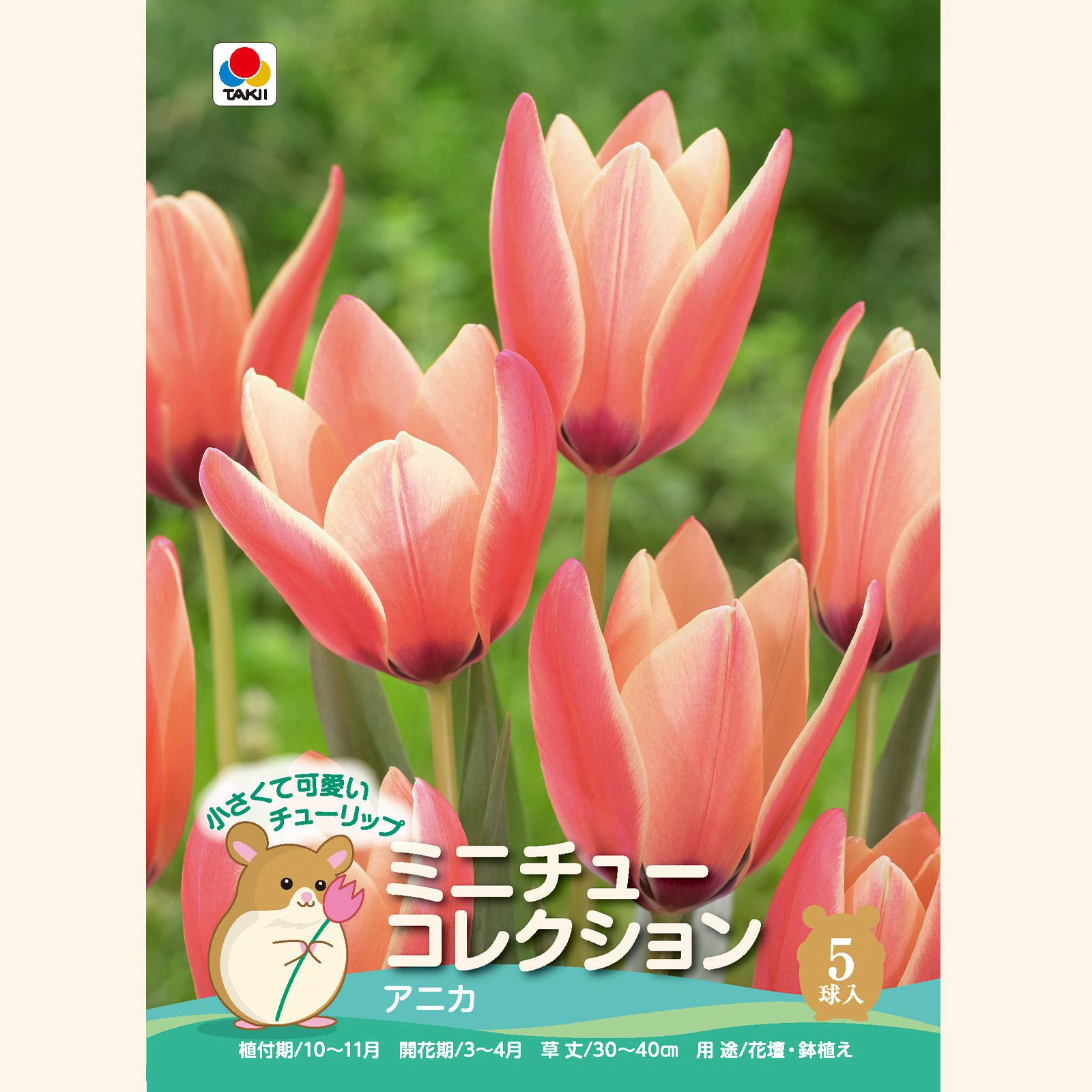 アニカ