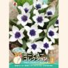 アルバ コエルレア オクラータ
