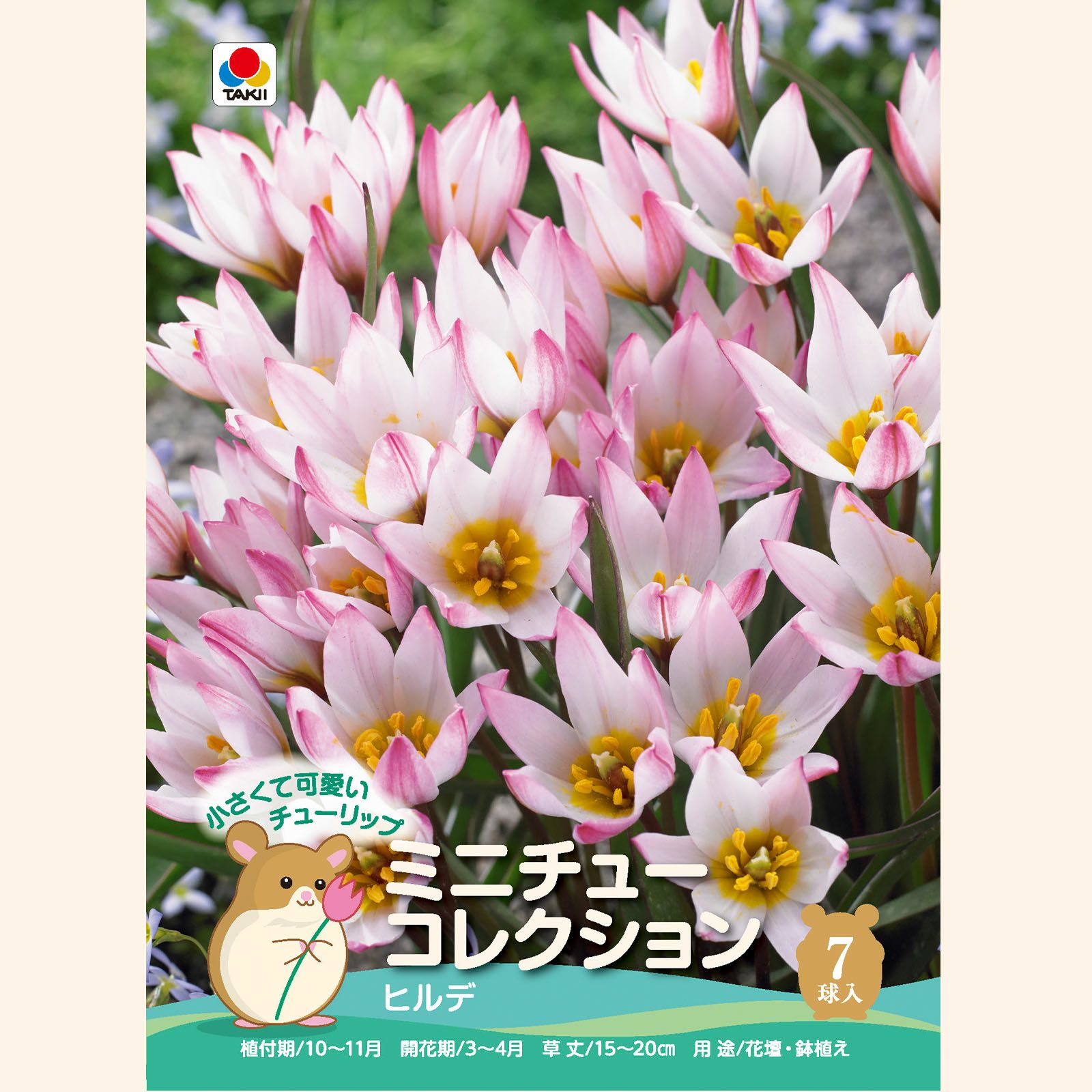ヒルデ