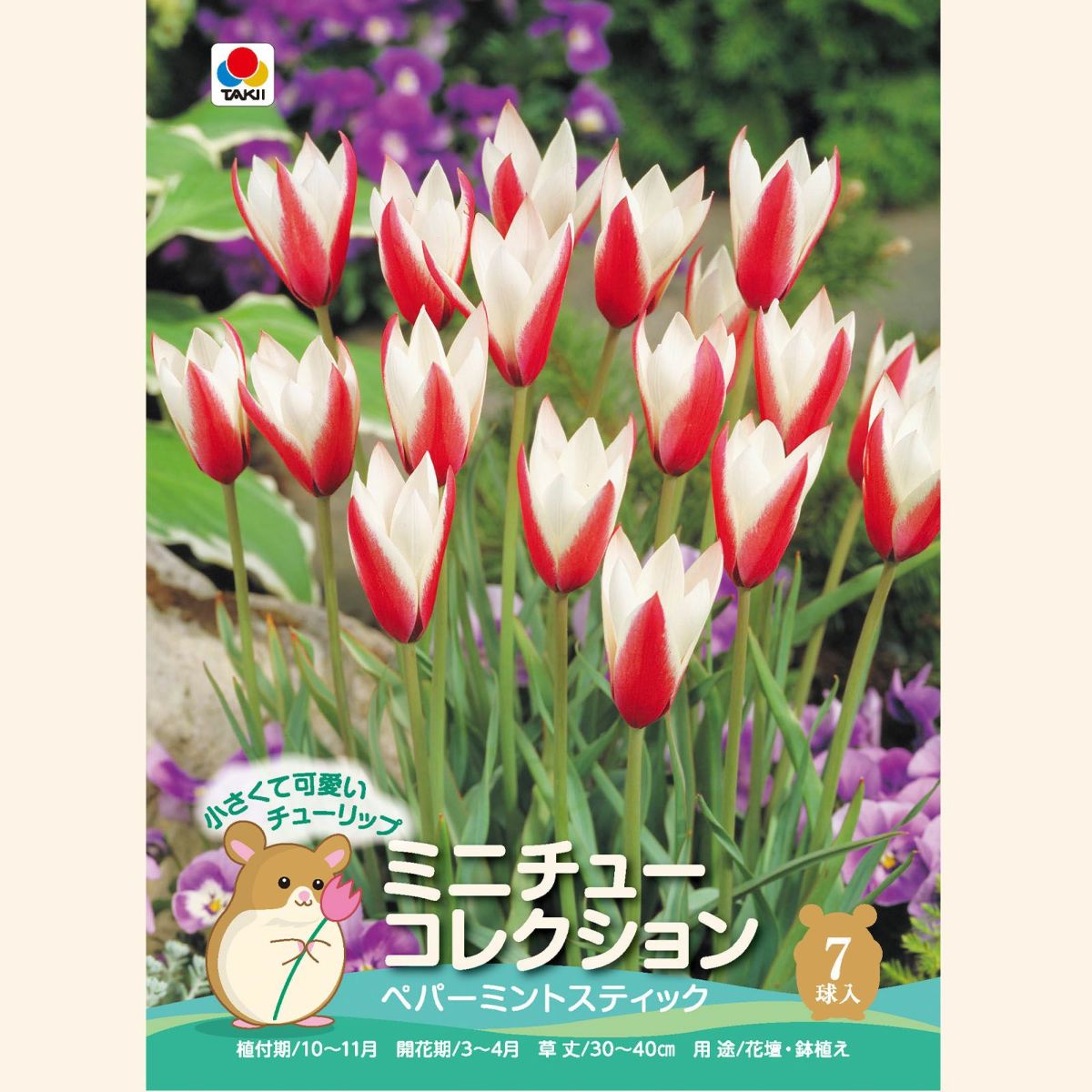 ペパーミントスティック