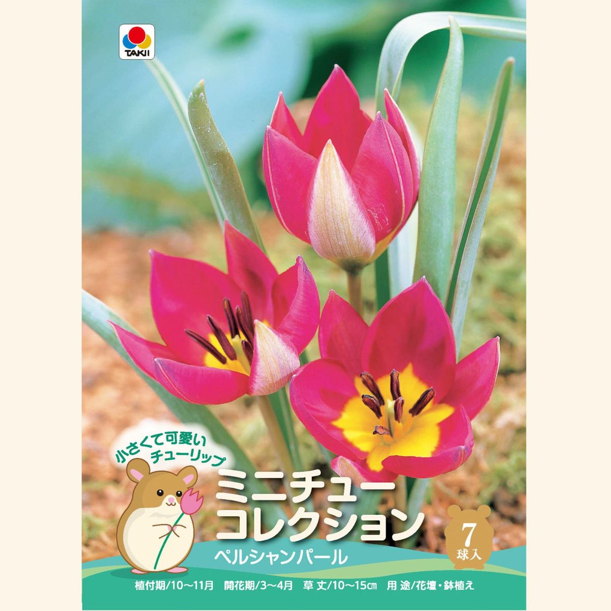 ペルシャンパール