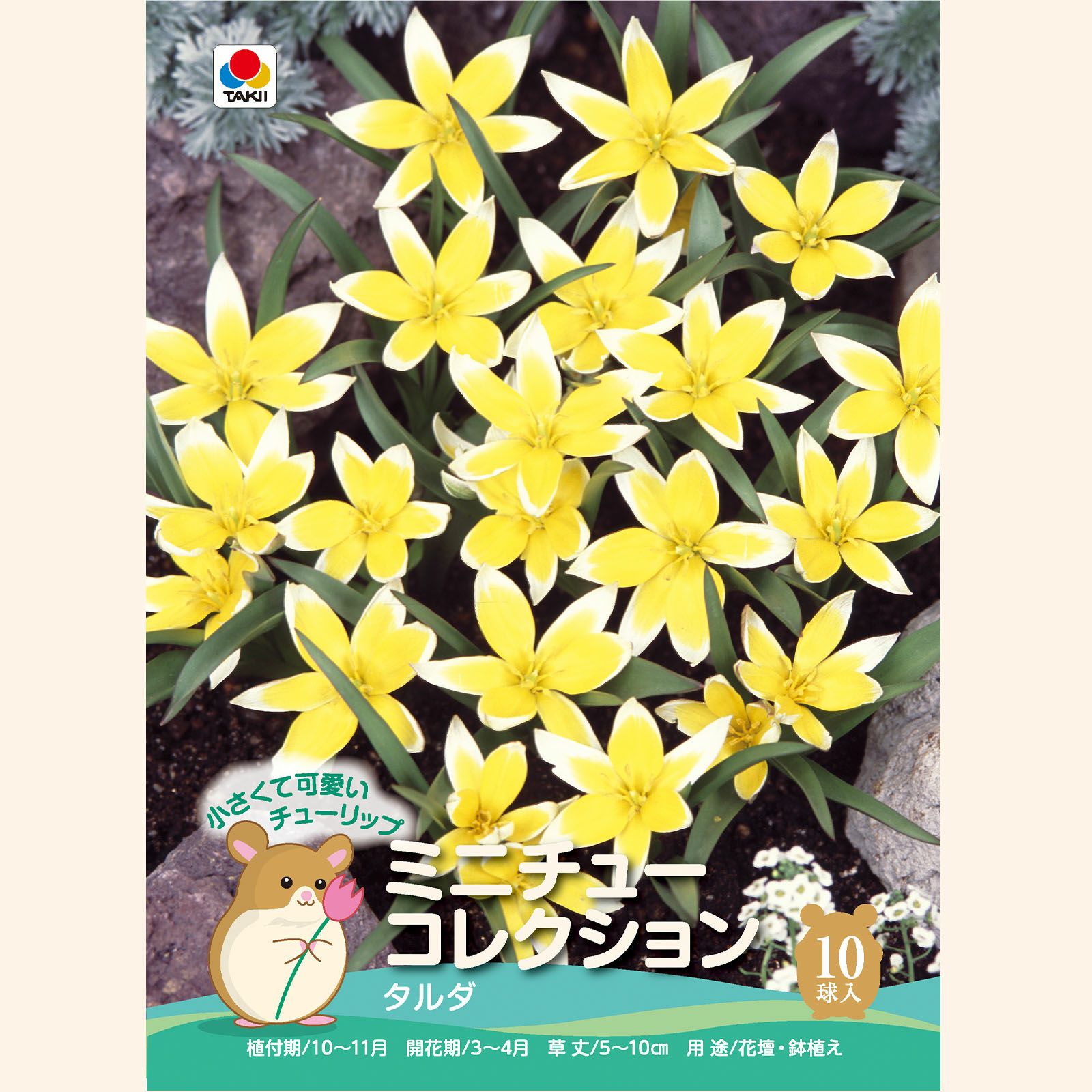 タルダ