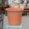 ３種類のオールドローズのモチーフが入ったウィッチフォードの植木鉢の写真
