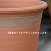 ３種類のオールドローズのモチーフが入ったウィッチフォードの植木鉢の写真