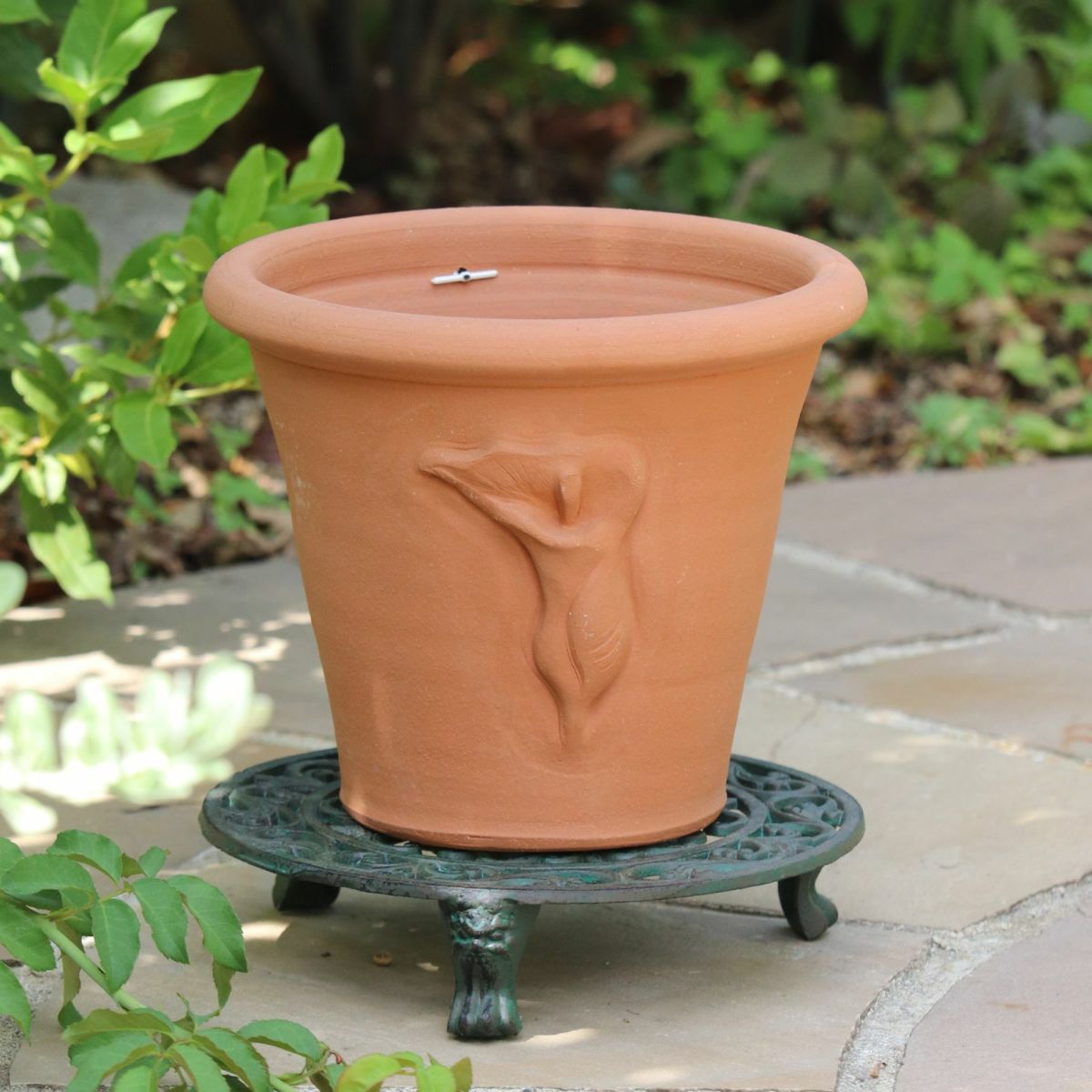 カラーの花のモチーフがついたウィッチフォードの植木鉢の写真