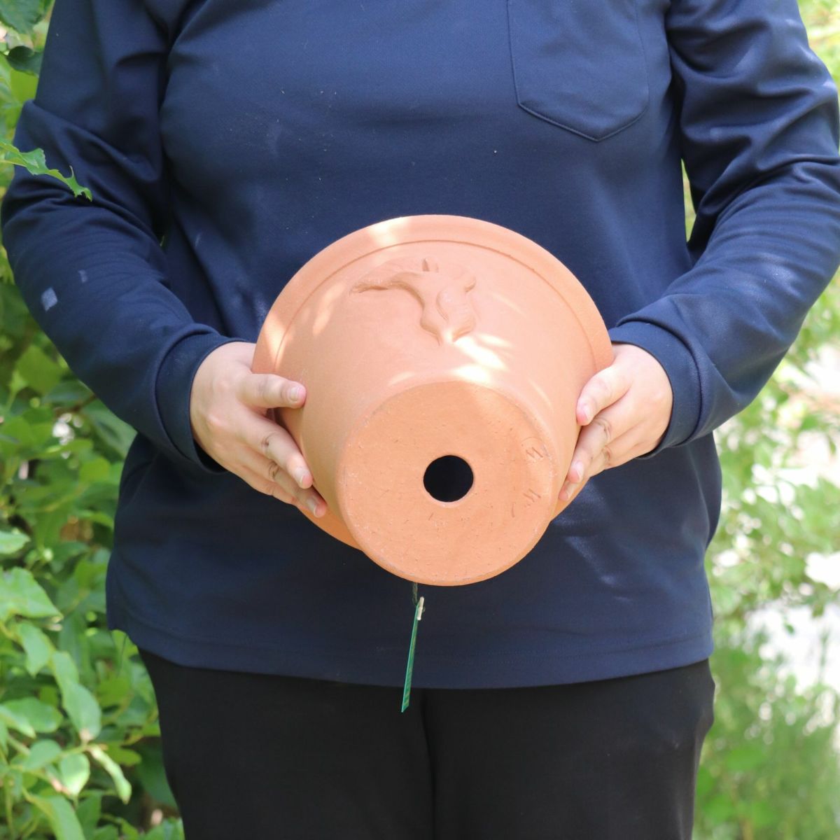 カラーの花のモチーフがついたウィッチフォードの植木鉢の写真