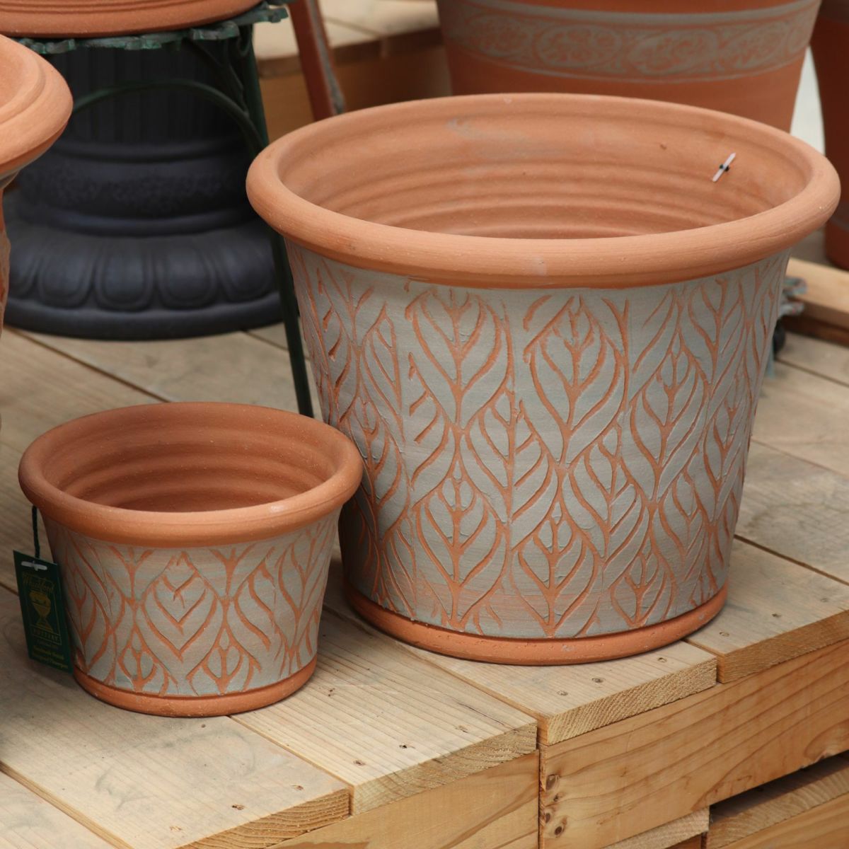 ウィッチフォードの植木鉢の写真