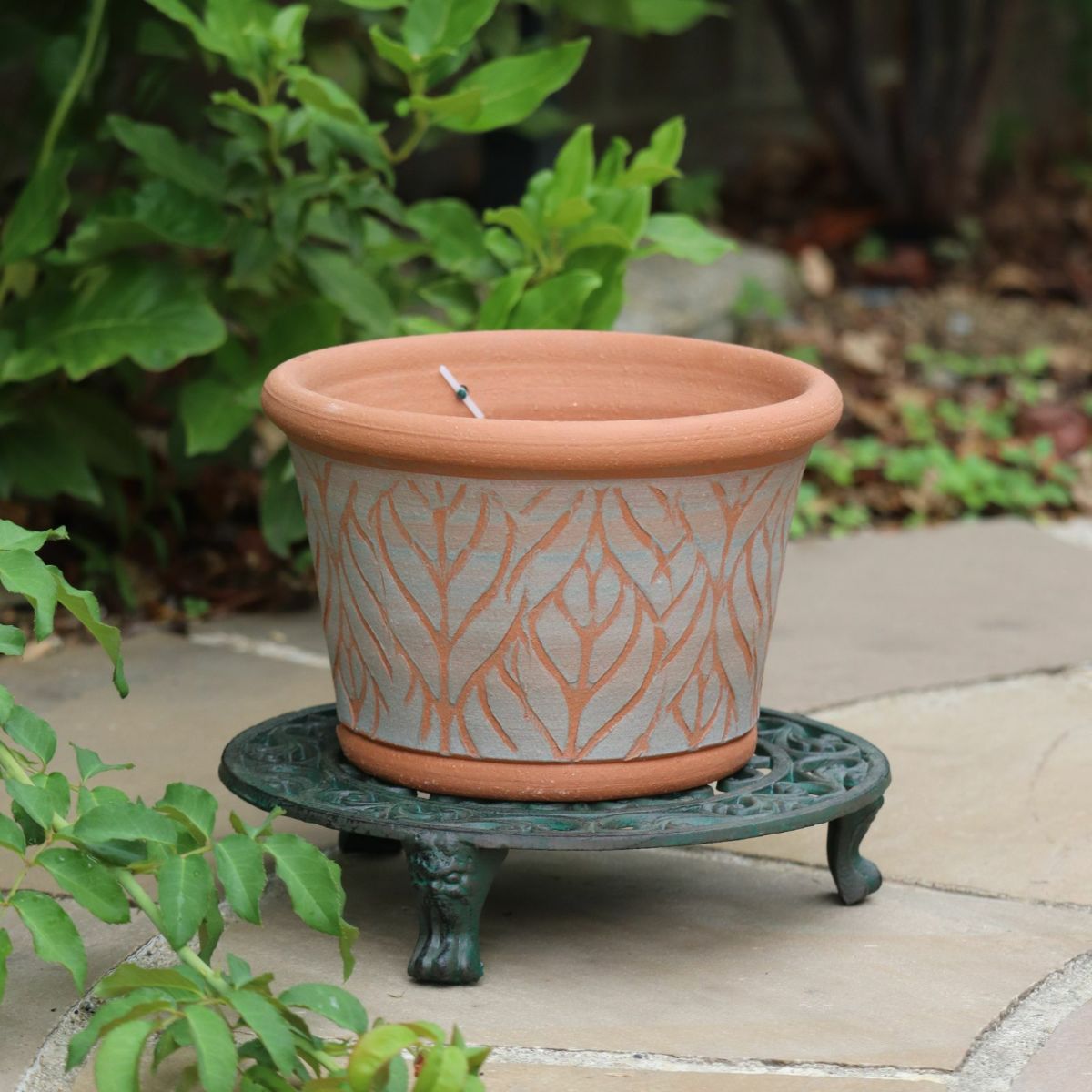 ウィッチフォードの植木鉢の写真