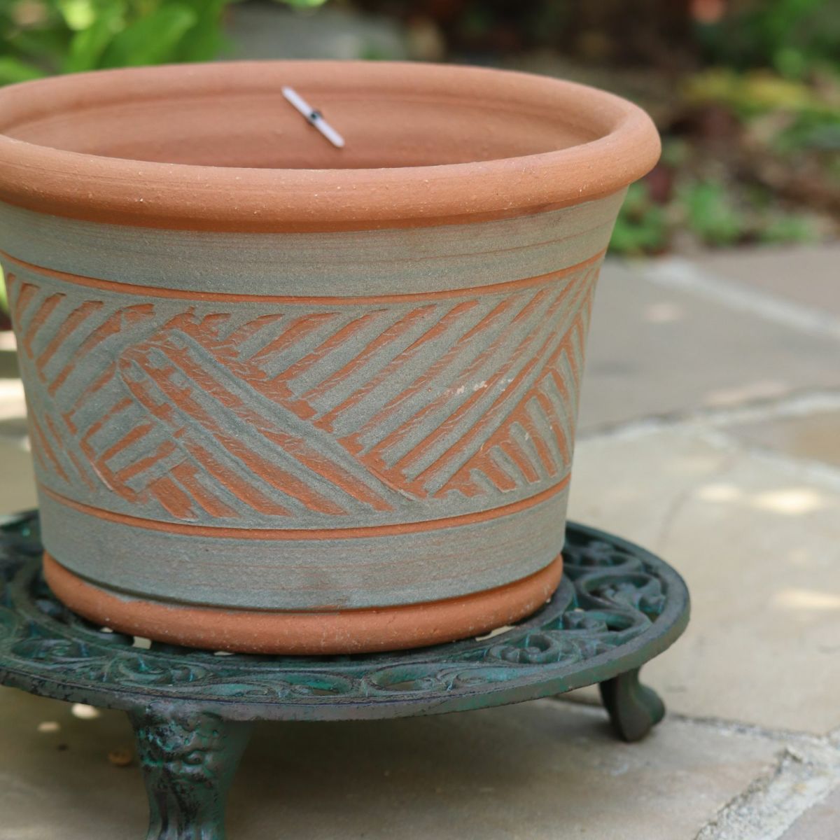ウィッチフォードの植木鉢の写真