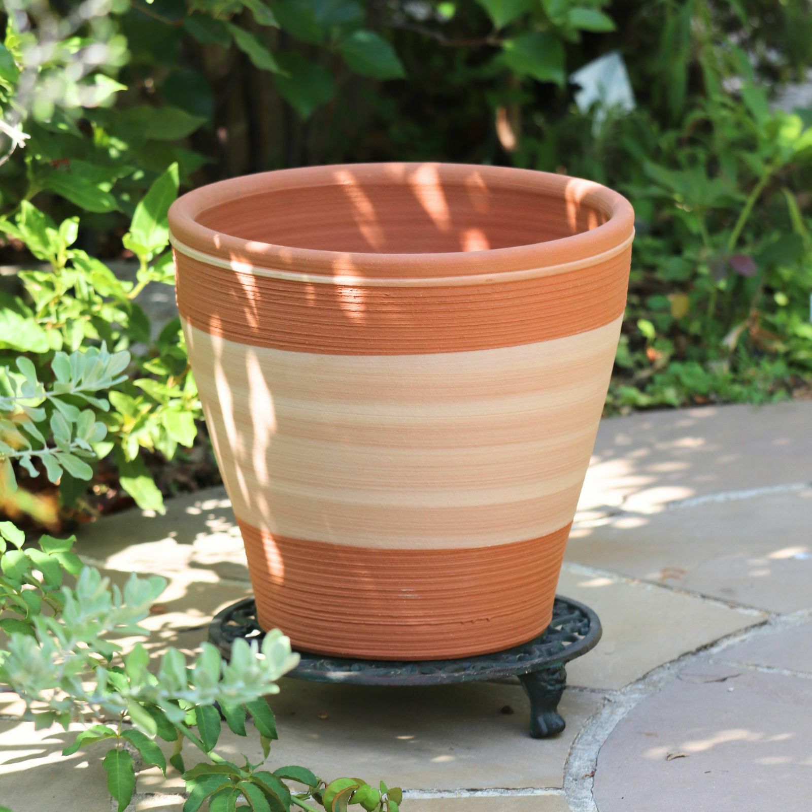 ウィッチフォード924アダムシリーズ｜バラと庭あそび京阪園芸公式ショップ