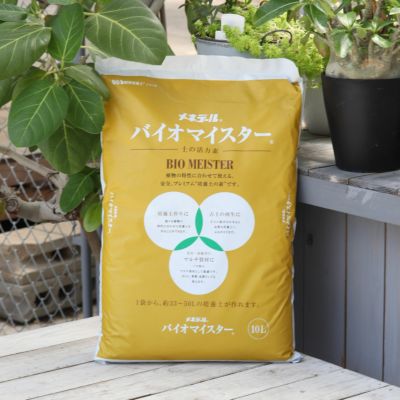 バラの7月のお手入れ｜バラと庭あそび京阪園芸公式ショップ 通販