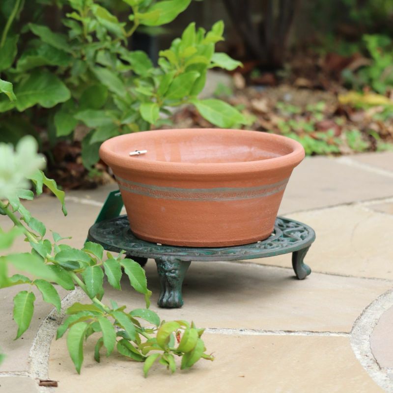 ウィッチフォードSeedPotの植木鉢の写真