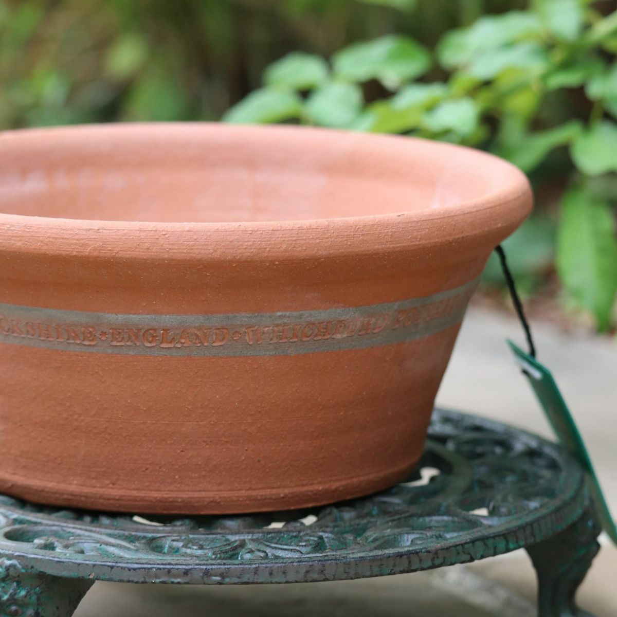 ウィッチフォードSeedPotの植木鉢の写真