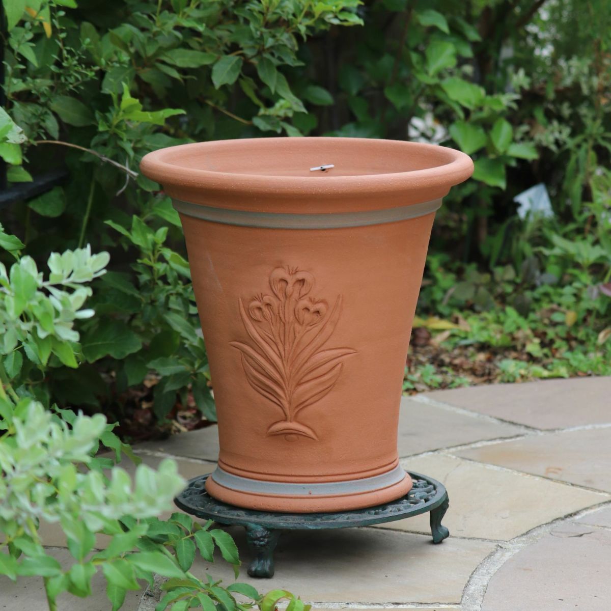 アイリスがあしらわれたウィッチフォードの植木鉢の写真