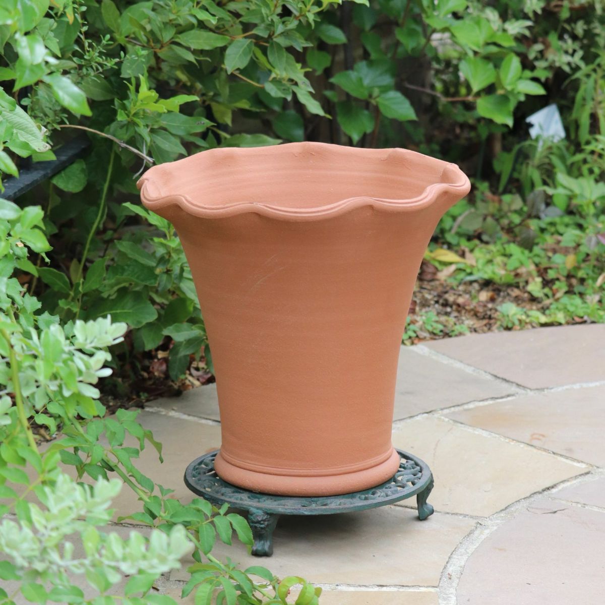 カーブの美しいウィッチフォードの植木鉢の写真