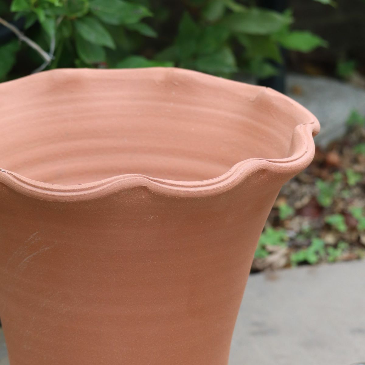 カーブの美しいウィッチフォードの植木鉢の写真