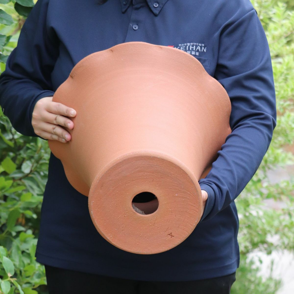 カーブの美しいウィッチフォードの植木鉢の写真