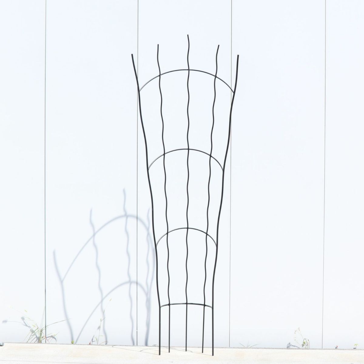 アーチ型のトレリスの写真