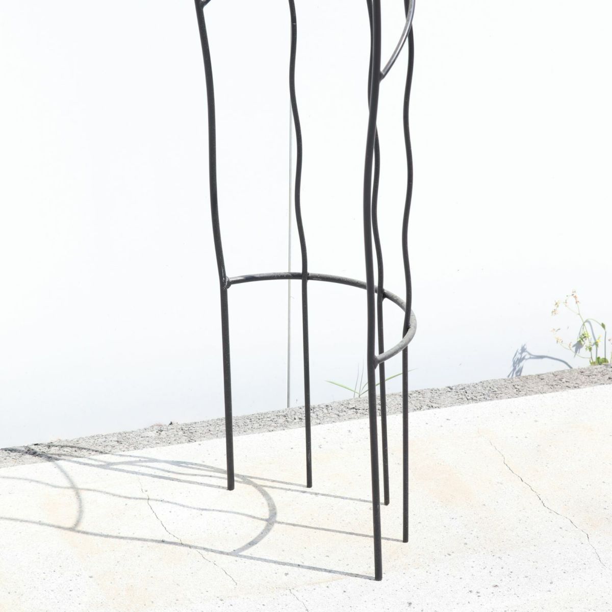 アーチ型のトレリスのアップ写真