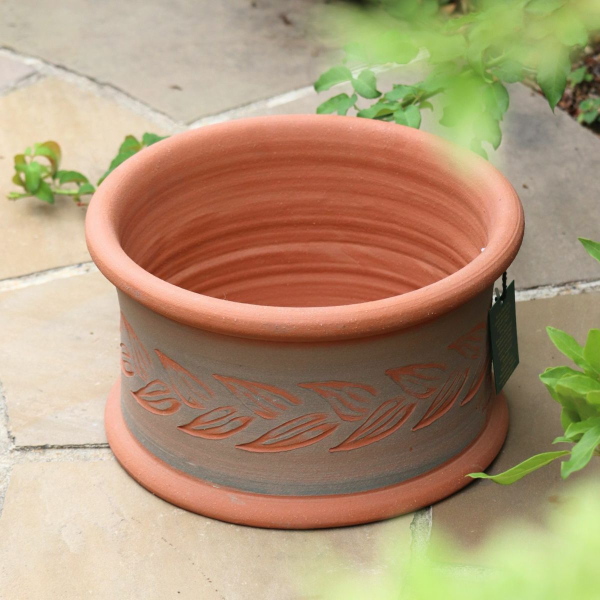 オリーブの葉がモチーフのウィッチフォードの植木鉢の写真