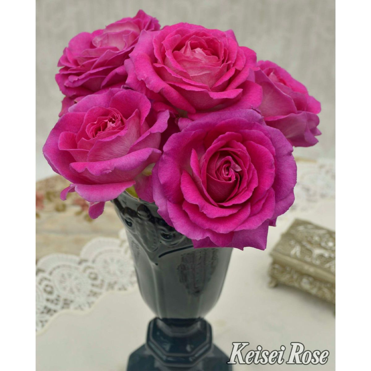 ヴァイオレットピンク色をしたファーランマリアというバラの画像