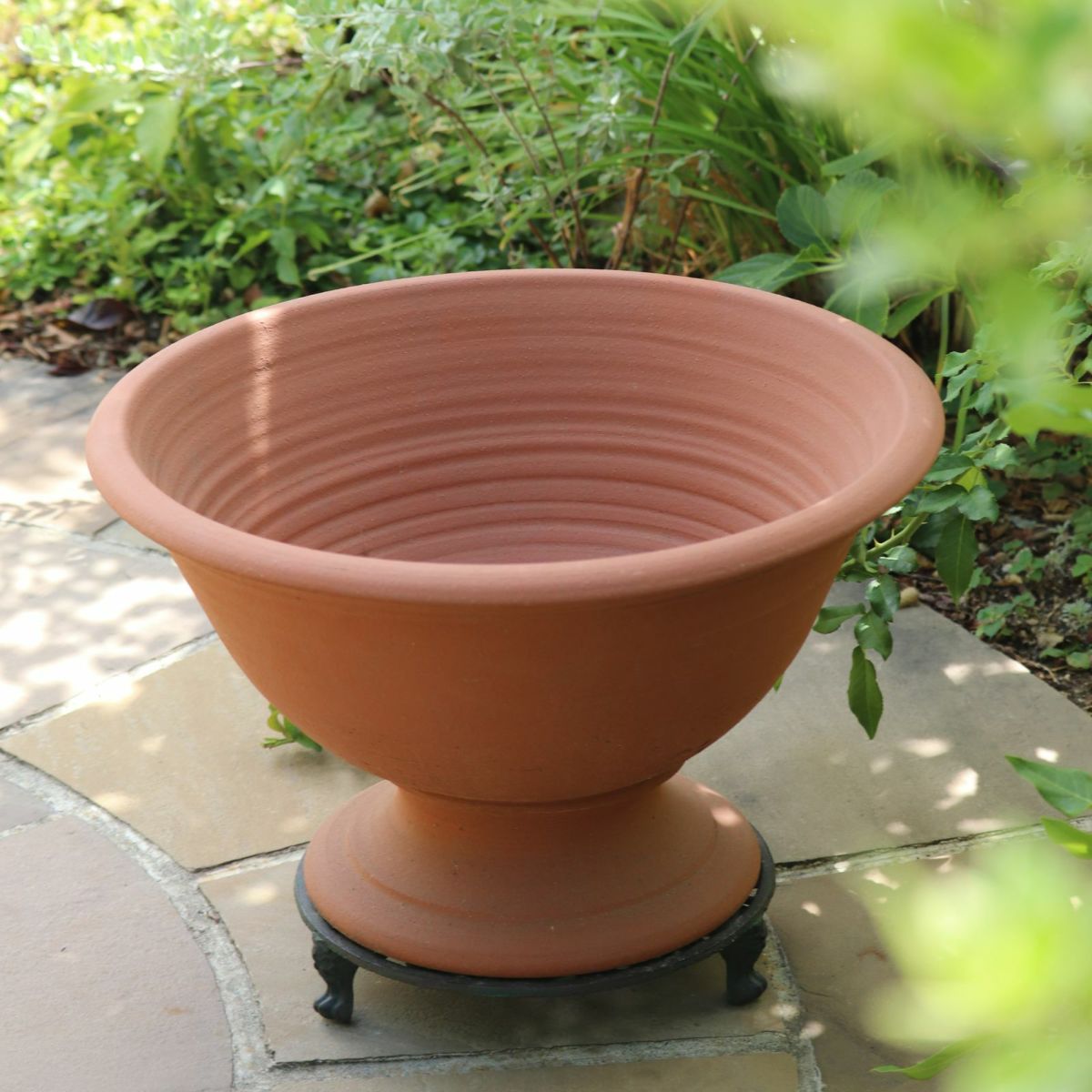 台座付きのウィッチフォードの写真