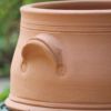 ウィッチフォードの植木鉢の写真