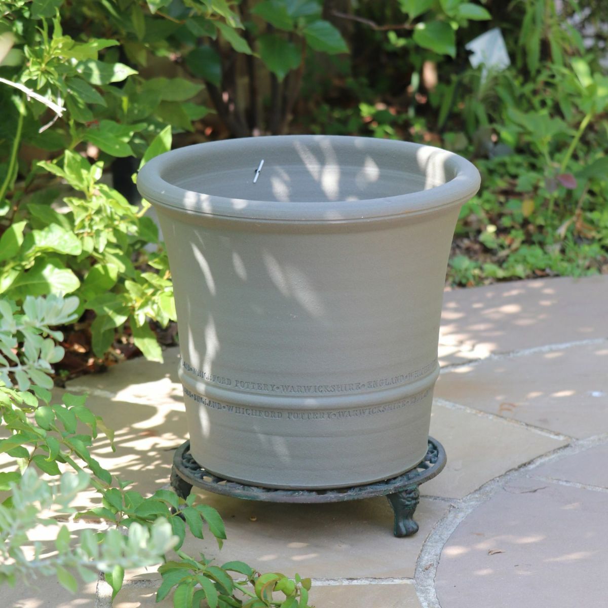 アッシュグレイのウィッチフォードの写真