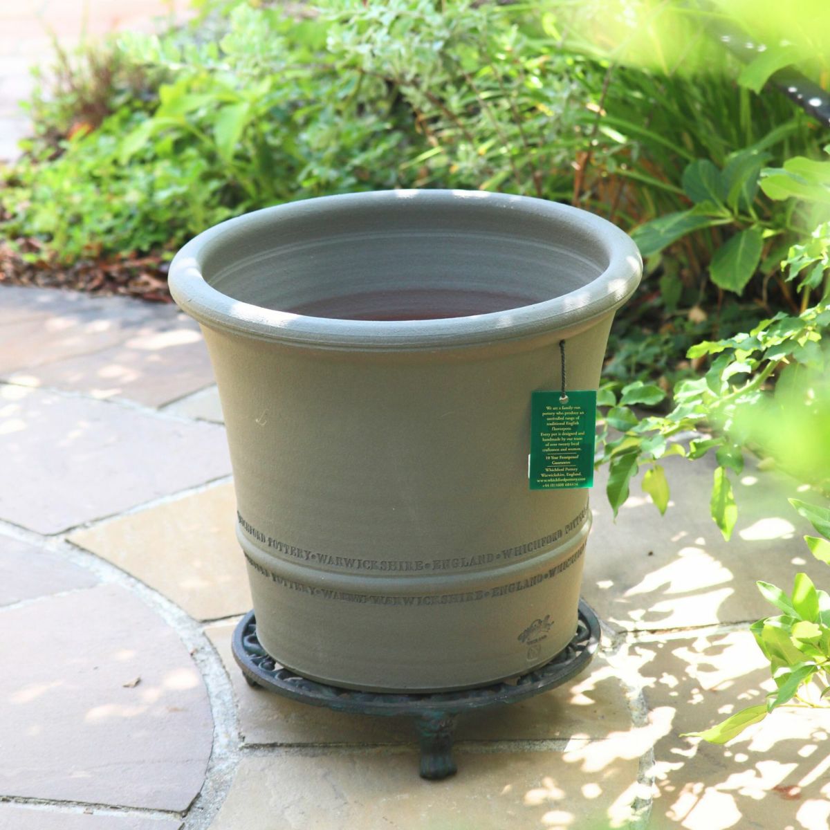 アッシュグレイのウィッチフォードの写真