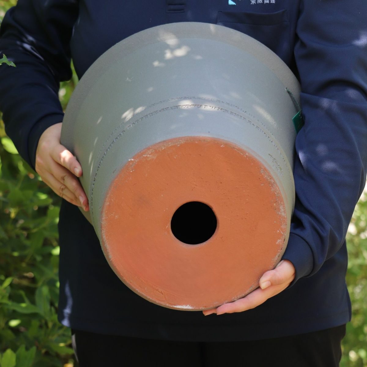 アッシュグレイのウィッチフォードの写真