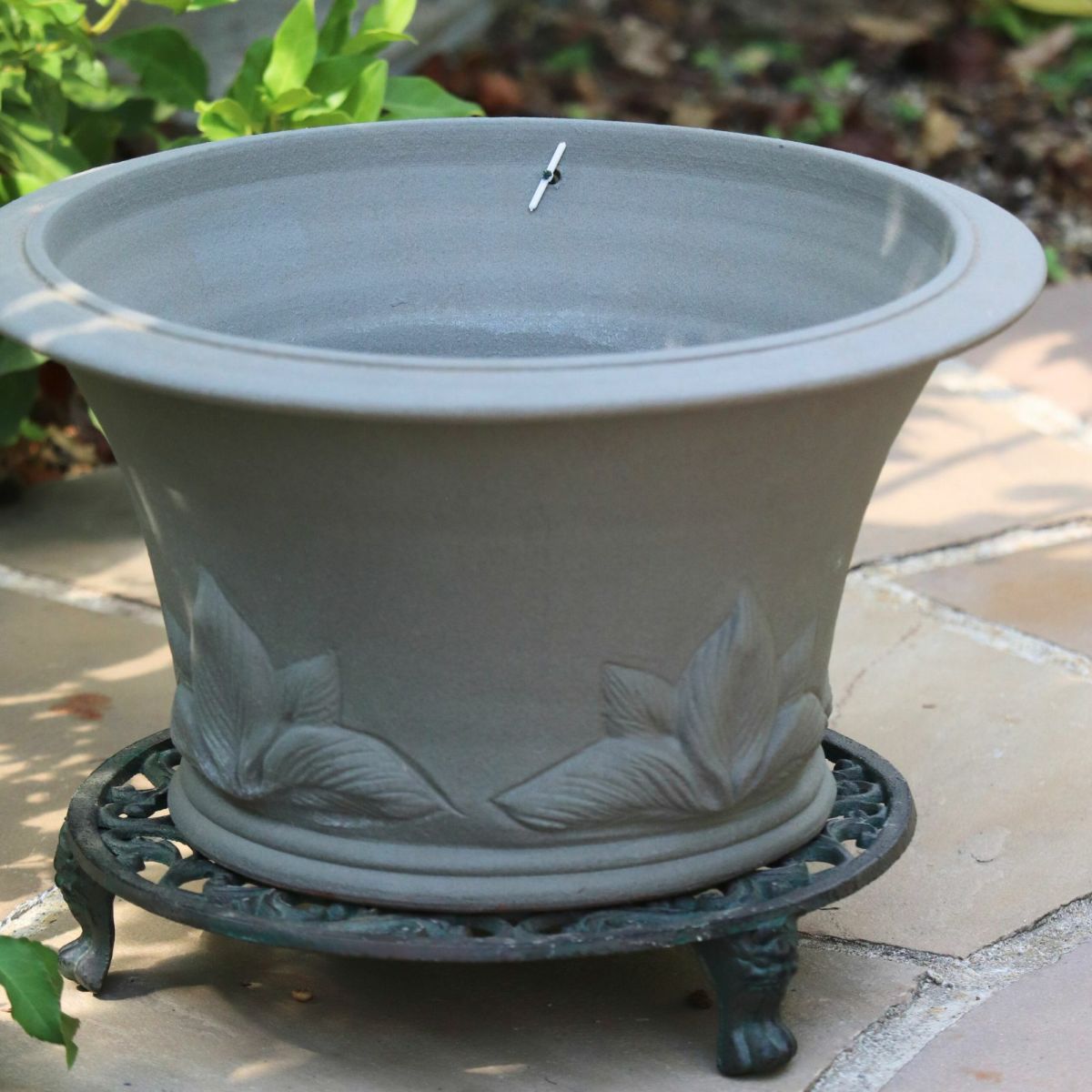 アッシュグレイのホスタがあしらわれたウィッチフォードの植木鉢の写真